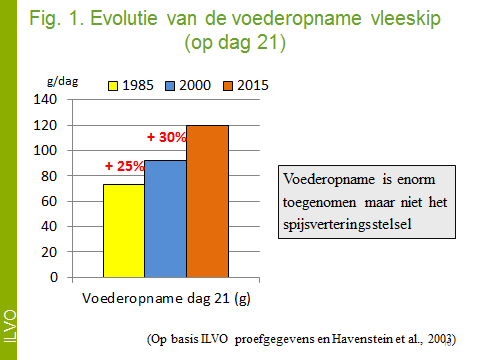 Evolutie voederopname vleeskippen