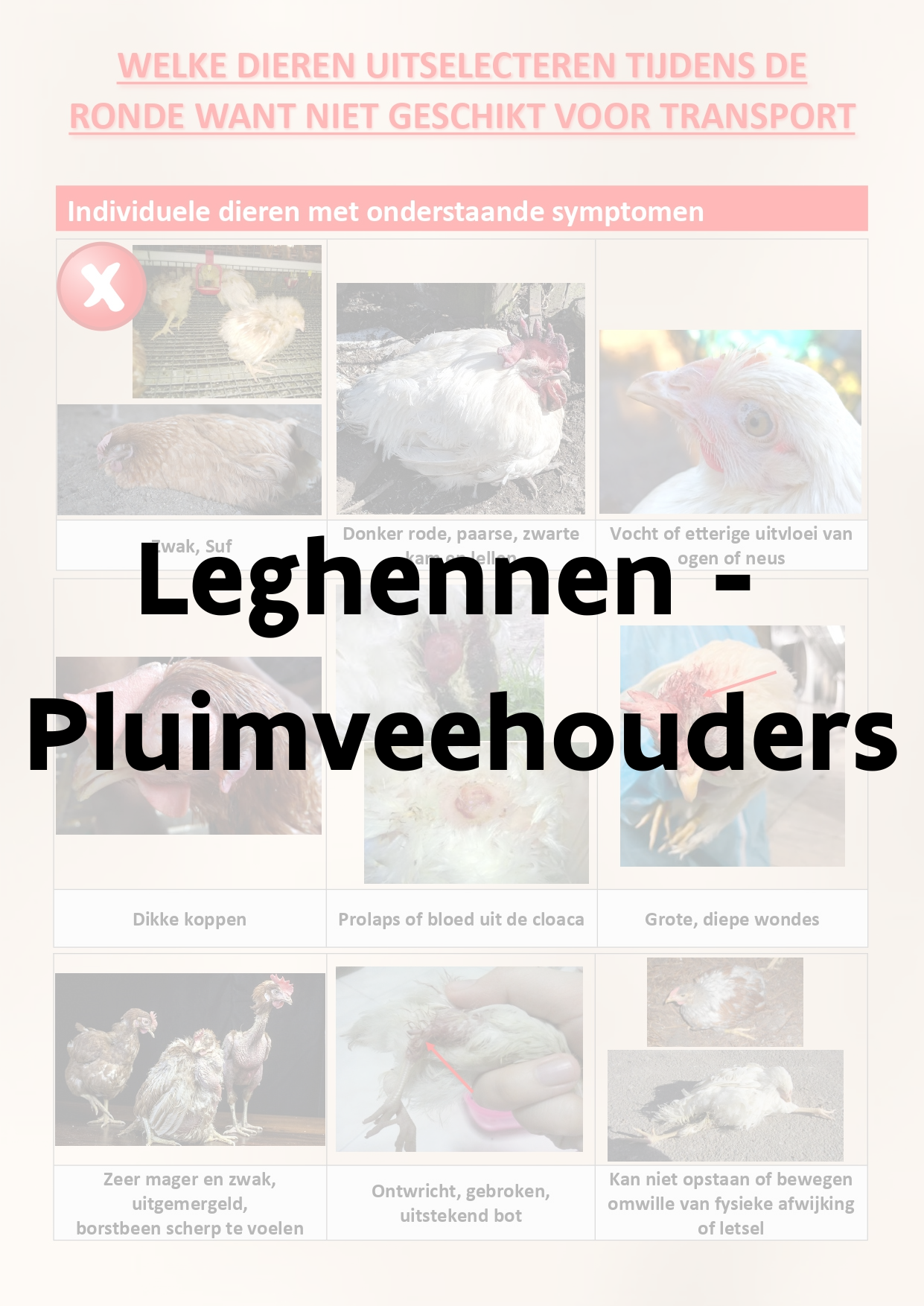 leghen_pluimveehouder