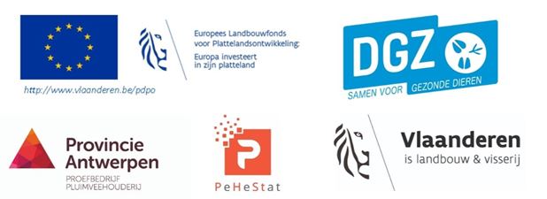 partners sectormiddag leg