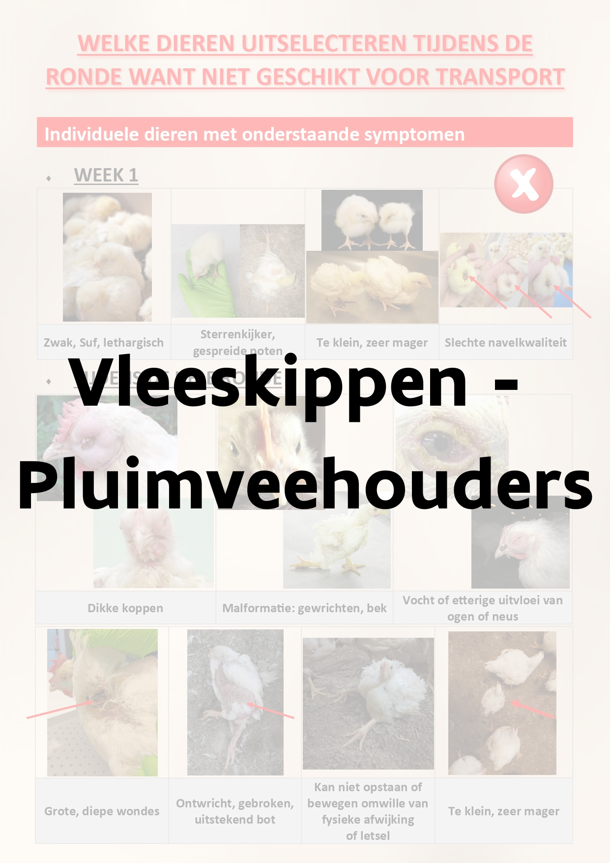 vleeskip_pluimveehouder