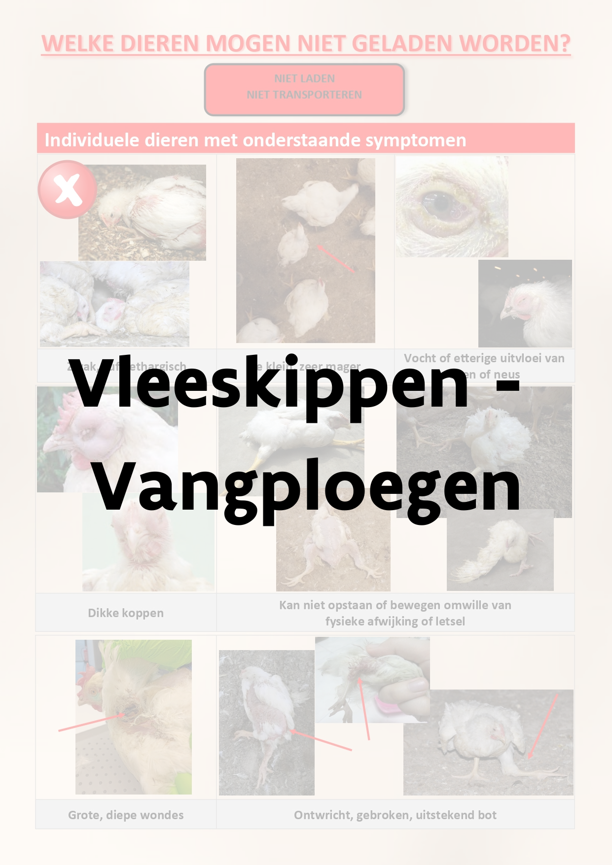 vleeskip_vang