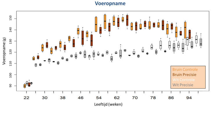 voeropname