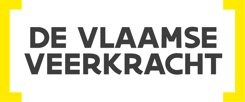 vlaamse veerkracht